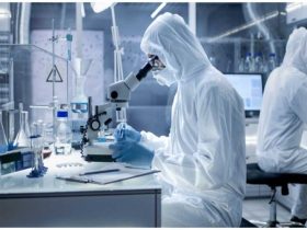 Y-mAbs’ $412 Million Take-Private Offer From SERB Poised To Upset The Oncology Landscape cover