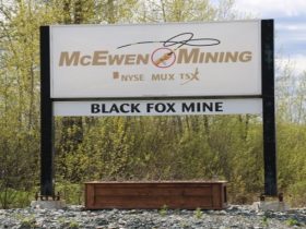 McEwen Grabs Canadian Gold: Can Tartan Lake Fuel Its 2030 Gold Ambitions? cover