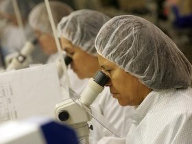 Staar Surgical’s $28 Buyout Premium—Is Alcon Getting A Bargain? cover