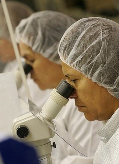 Staar Surgical’s $28 Buyout Premium—Is Alcon Getting A Bargain? cover