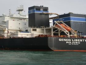 Diana Shipping Eyes Genco: Could A Small-Cap Drybulk Marriage Be Next? cover