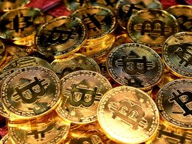 gold and silver round coins